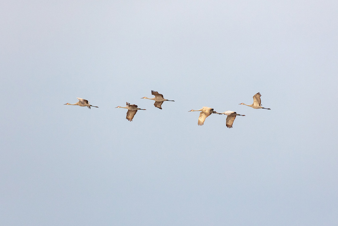 20220126-jwf-0161