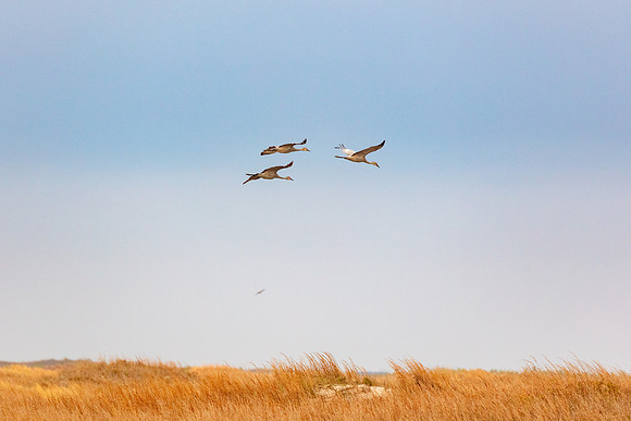 20220126-jwf-0167