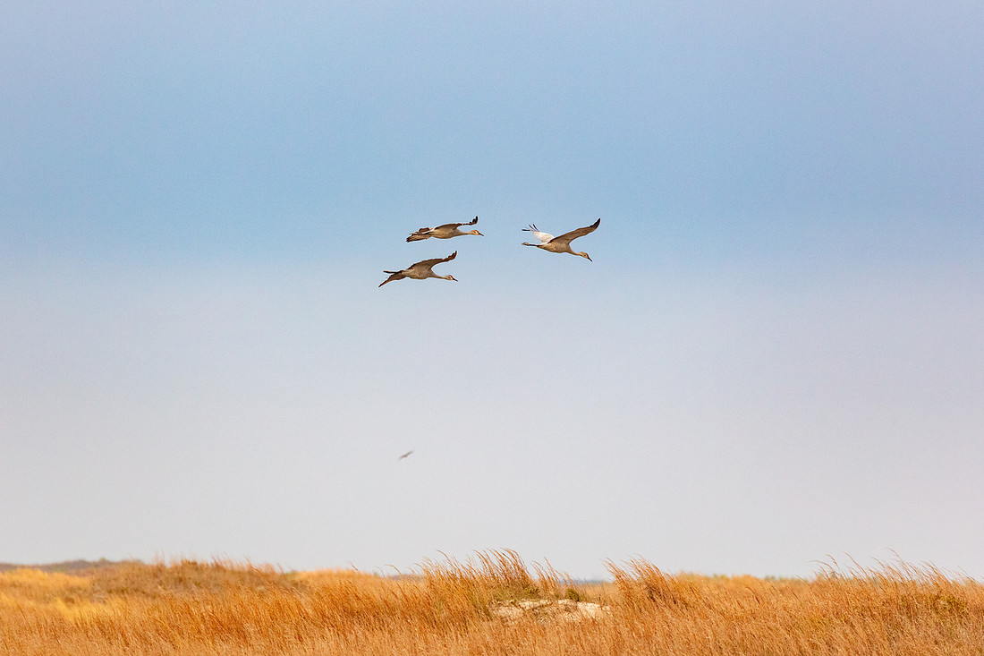 20220126-jwf-0167