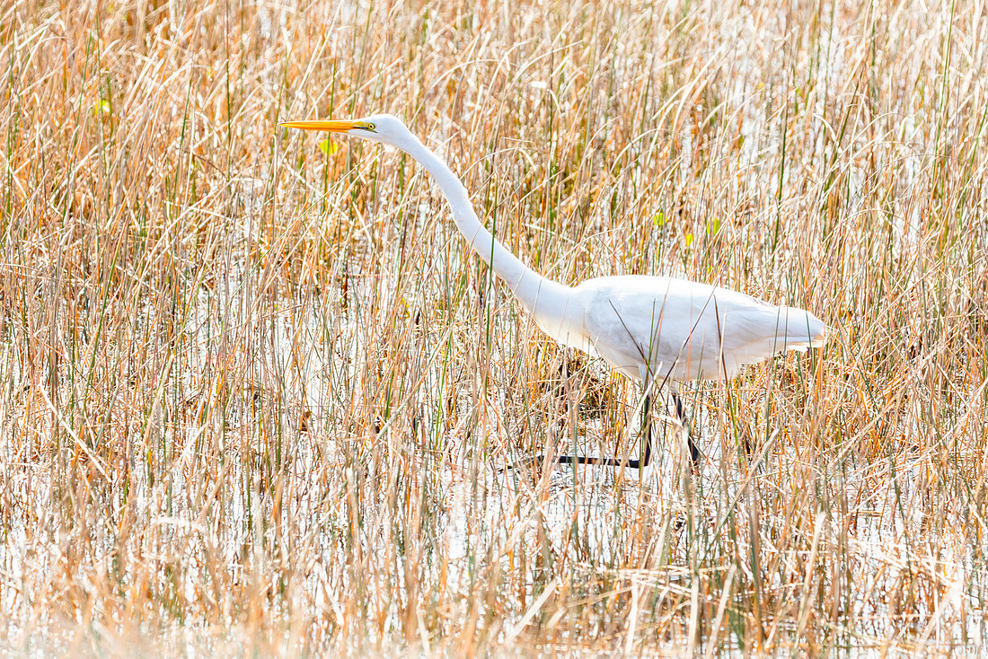 20220126-jwf-0255