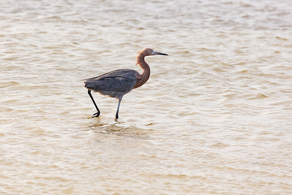 20220126-jwf-0533