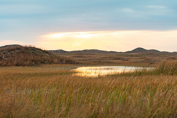 20220127-jwf-0049