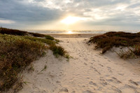 Padre Island National Seashore