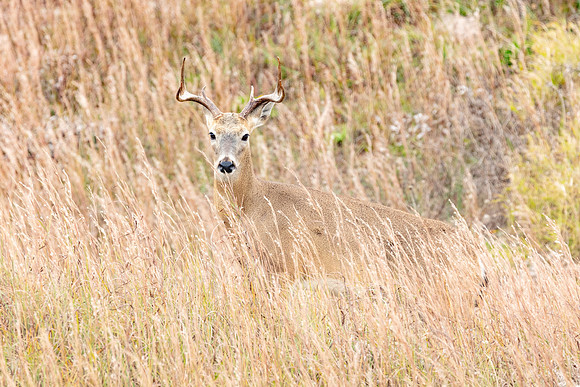 20220127-jwf-0314
