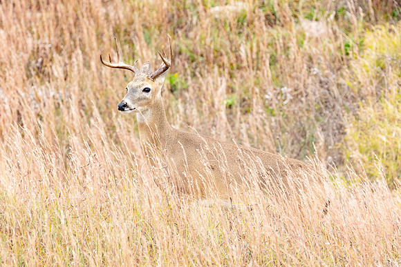 20220127-jwf-0317