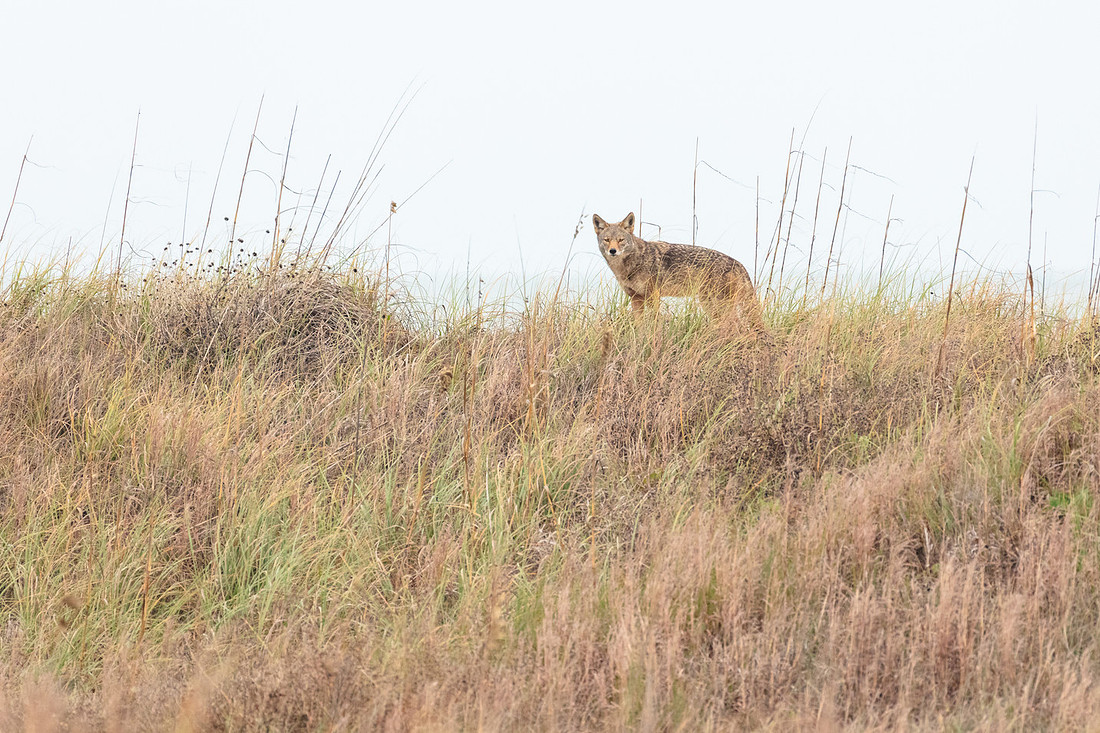 20220128-jwf-0111