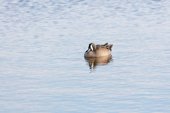 20220128-jwf-0343
