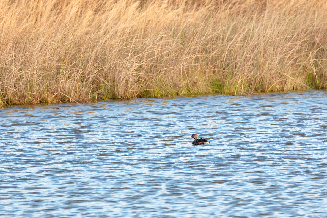 20220128-jwf-0351