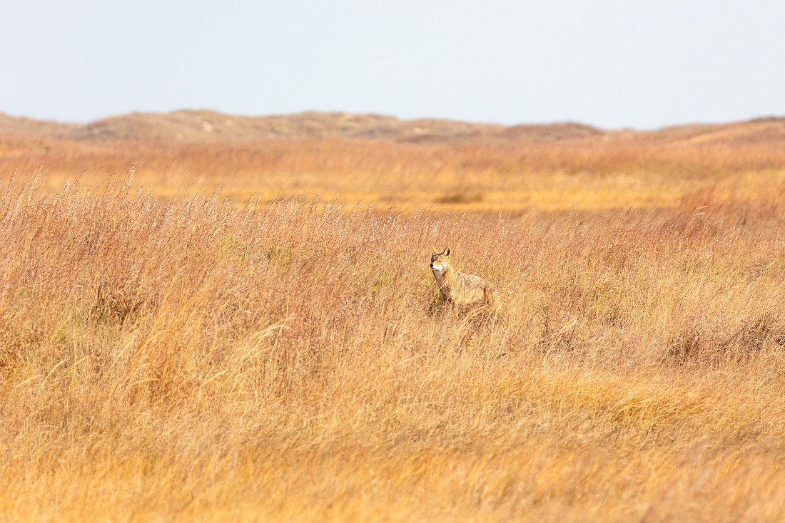 20220126-jwf-0400