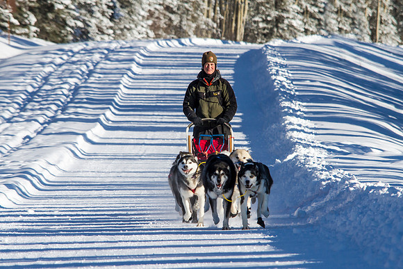 Denali Team Landscape
