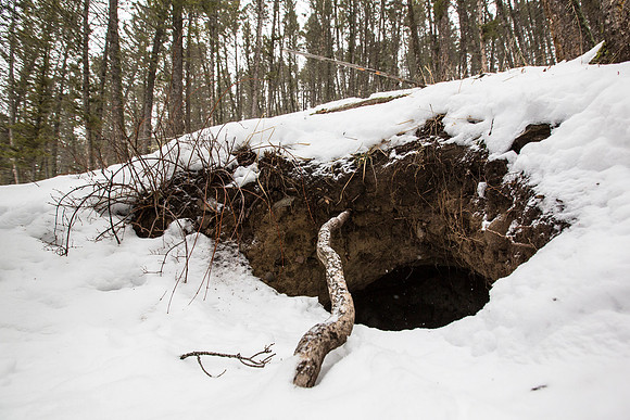 Historic Wolf Den