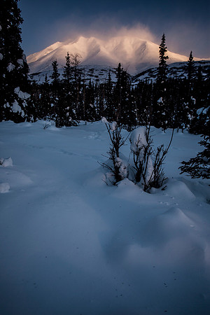 Morning Light