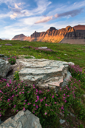 Garden Wall Alpenglow and Wildflowers