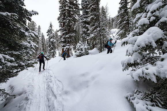 Custer Gallatin National Forest Maxey Cabin: skiing to Palisade
