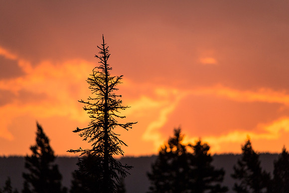 Sunrise from St. Mary Campground
