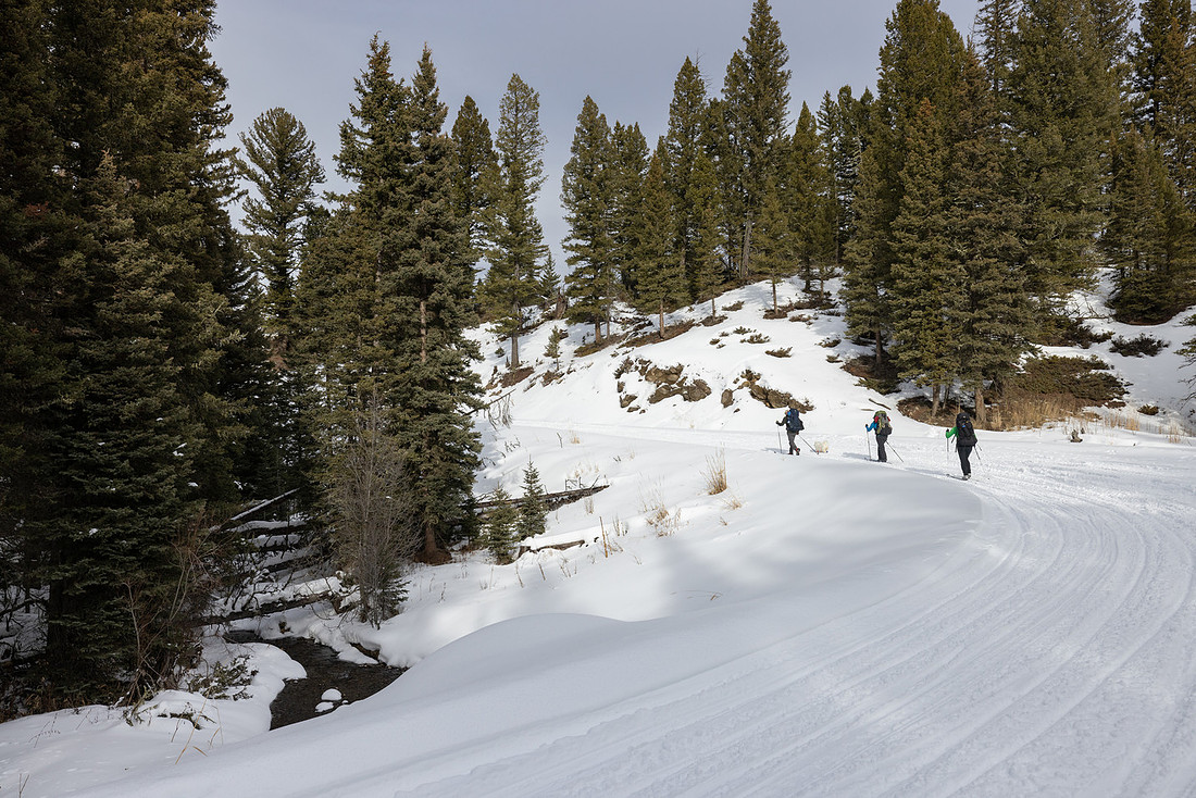 20230115-jwf-8574