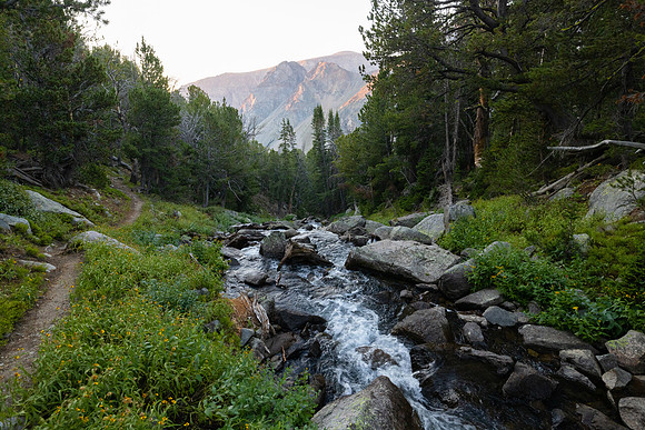 20220903-jwf-3679