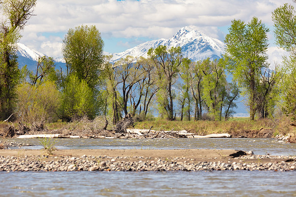 20200525-jwf-1876