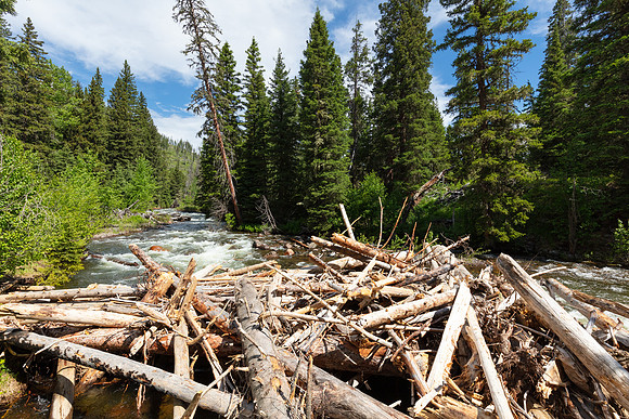 20200627-jwf-9256