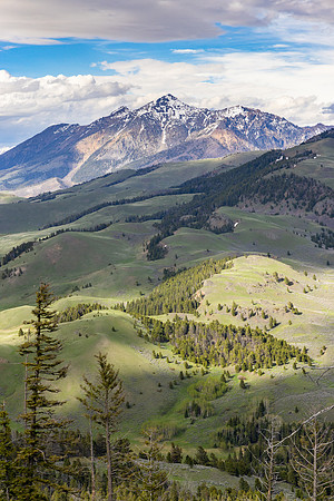 20220610-jwf-3609