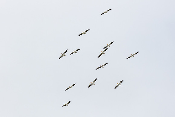 20200524-jwf-1165