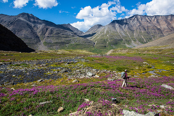 Hiking in the Alpine in the Bremner District
