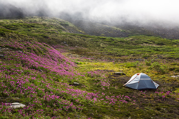 Camping in the Fog