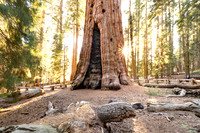 Sequoia & Kings Canyon National Parks