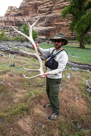 Elk Shed