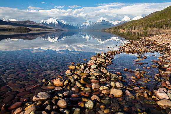 Lake McDonald Shoreline