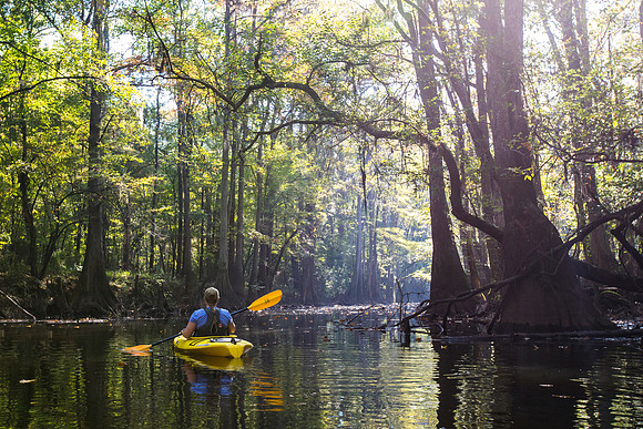 Kayaker on Cedar Creek