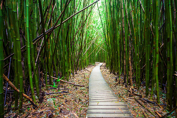 Kipahulu Boardwalk