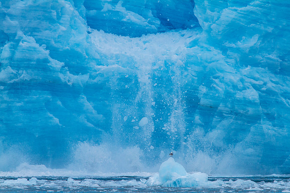 Aialik Glacier, Enhance, Enhance