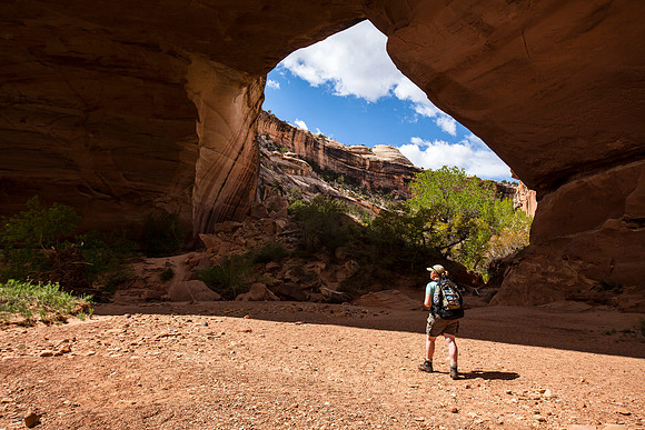 Kachina Bridge Hiker