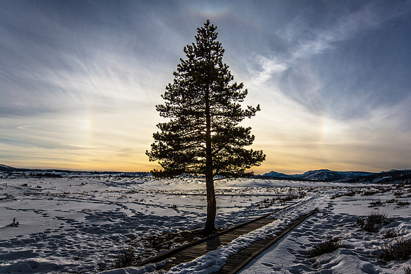 Yellowstone Sundog