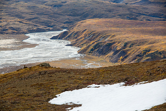 Arctic Ground Squirrel on Thoroughfare