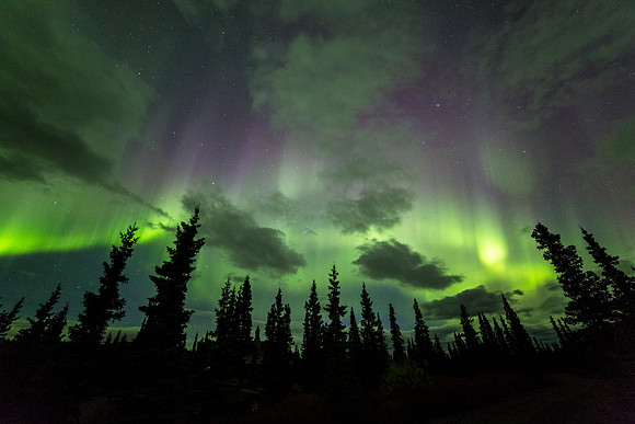 Aurora September 11, 2015 (13)
