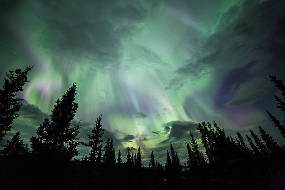 Aurora September 11, 2015 (17)