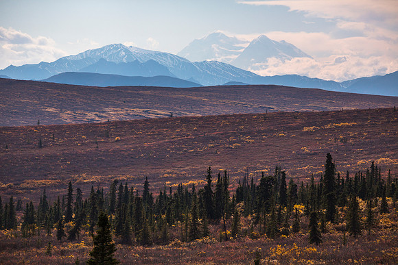 Denali and Fall Colors (2)