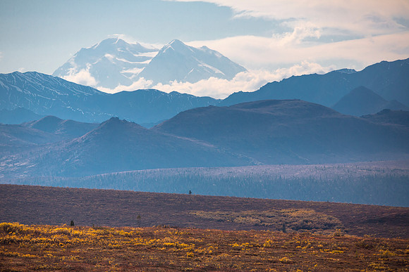 Denali and Fall Colors