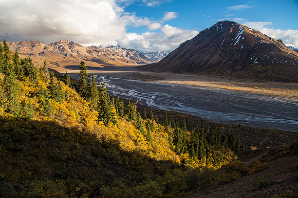 Fall Color on Sheep Hill Drainage