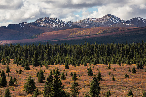 Fall Colors Near Mile 23