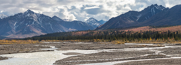 Teklanika River in the Fall