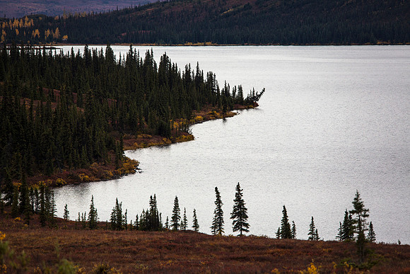 Wonder Lake Curves