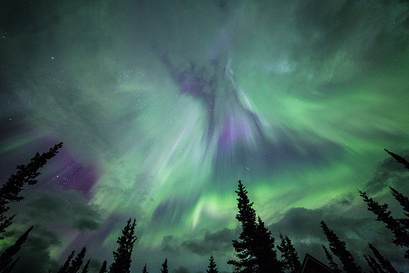 Aurora September 11, 2015 (15)