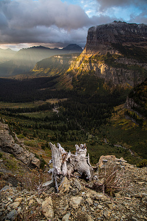 Reynolds Creek Sunrise Portrait