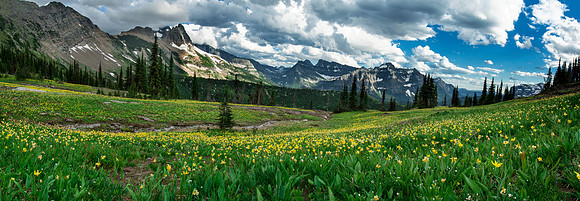 Granite Park in Bloom