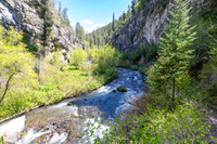 Caribou-Targhee National Forest