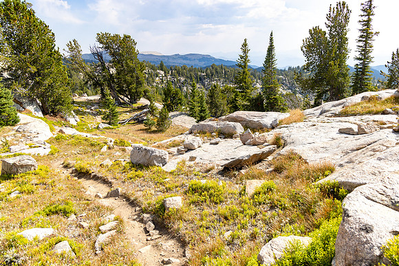 CGNF, AB Wilderness: Kidney Lake to Thiel Lake (5)