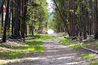 Views along the Mary Mountain Trail: near the west end trailhead